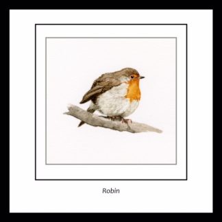little_robin_greetings_card