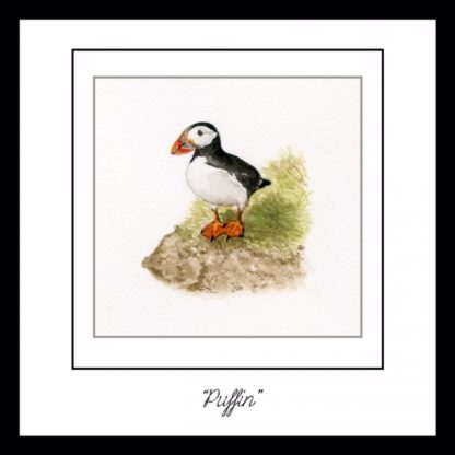little_puffin_greetings_card