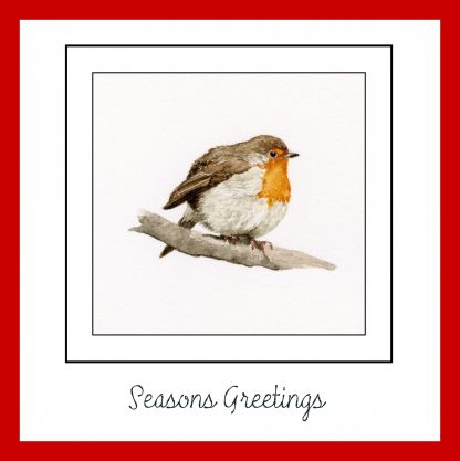 Seasons Greeting Christmas card with a little watercolour robin sitting on a branch